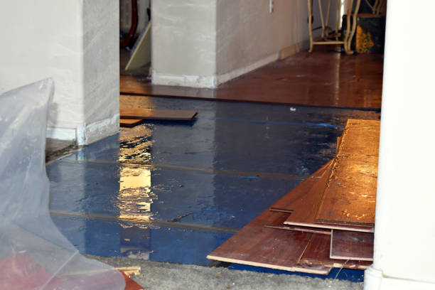 Professional Water Damage technician working in Pound, WI